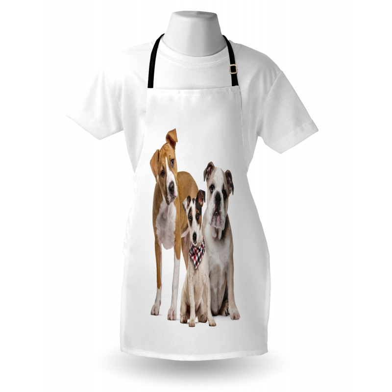 Funny Various Breeds of Dogs Apron