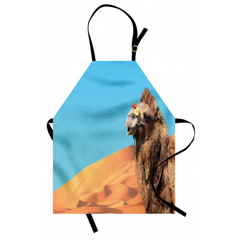 Camel Sand Dunes and Sky Apron