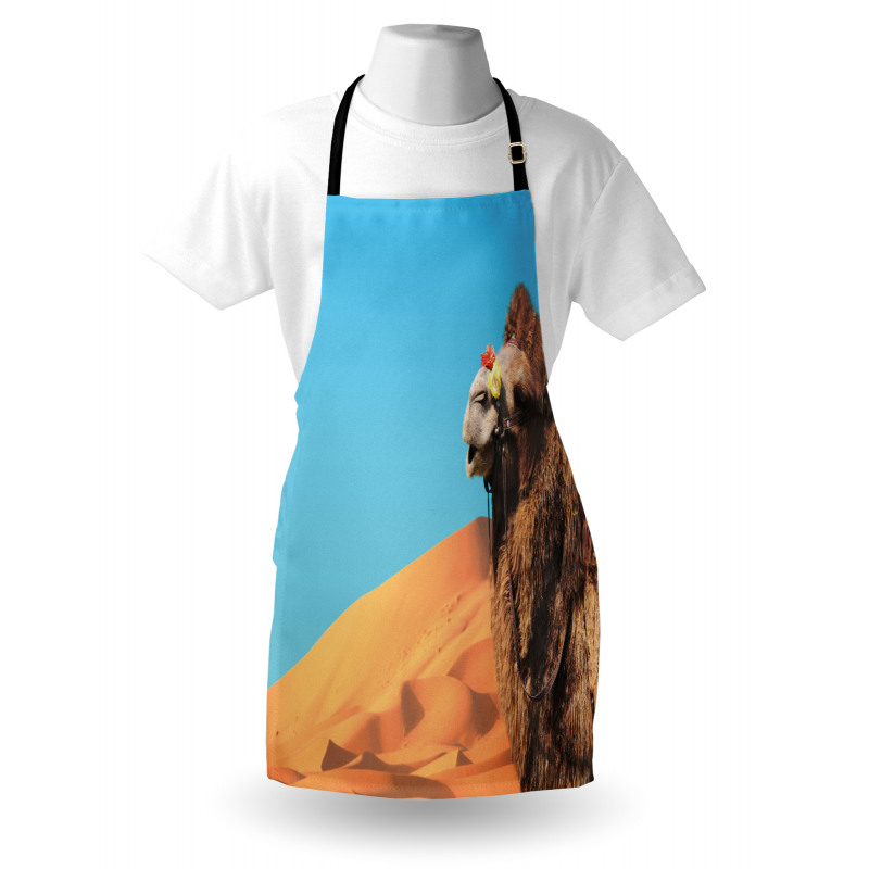 Camel Sand Dunes and Sky Apron