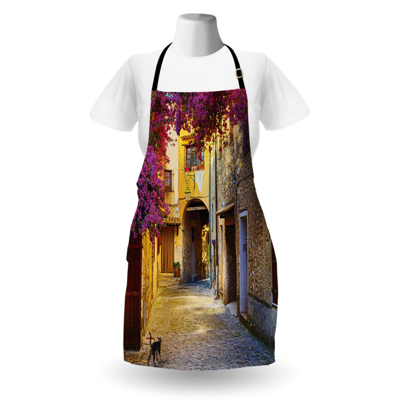 Historical Houses Alley Apron