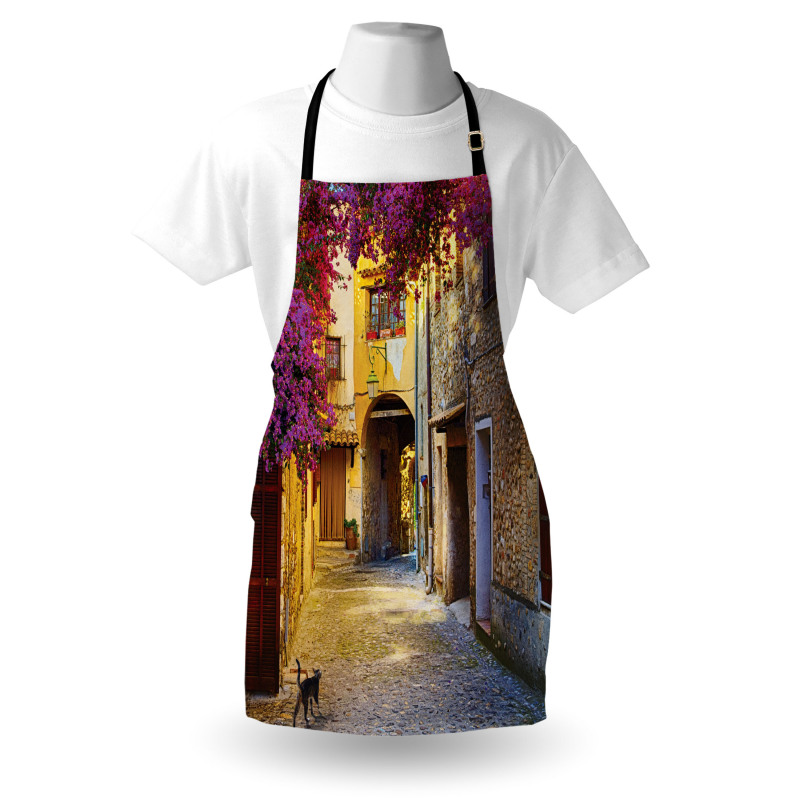 Historical Houses Alley Apron