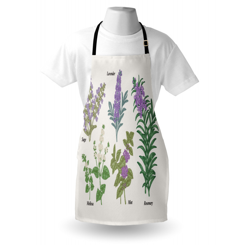 Botanical Infographic Plants Apron