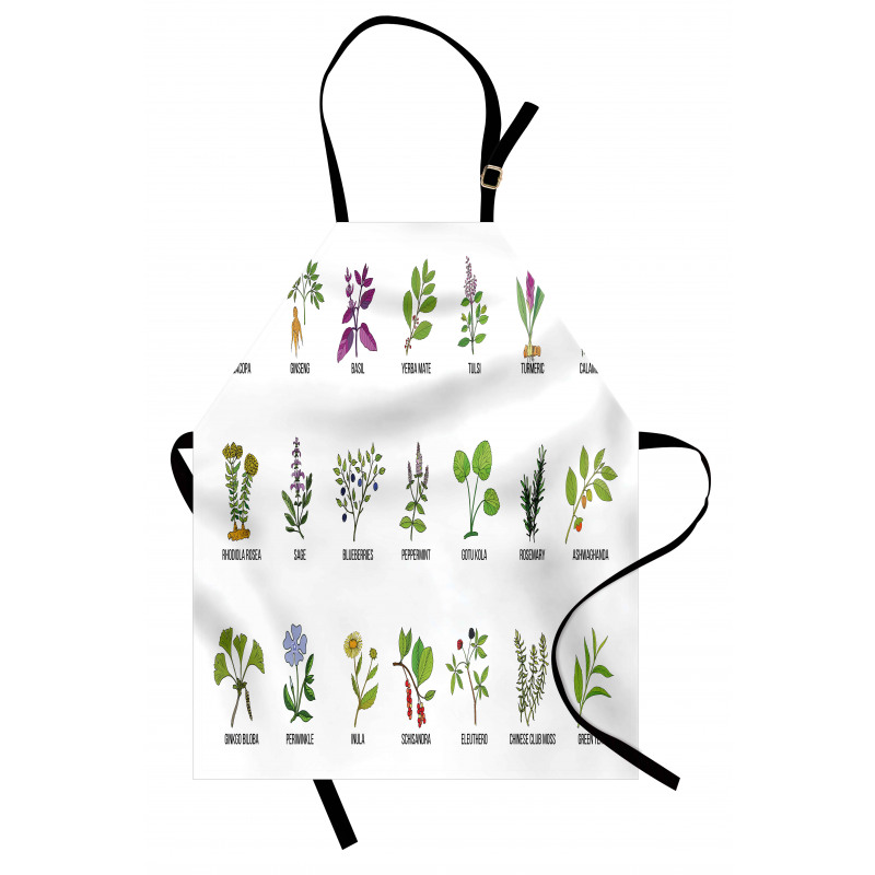 Educational Herbs Design Apron