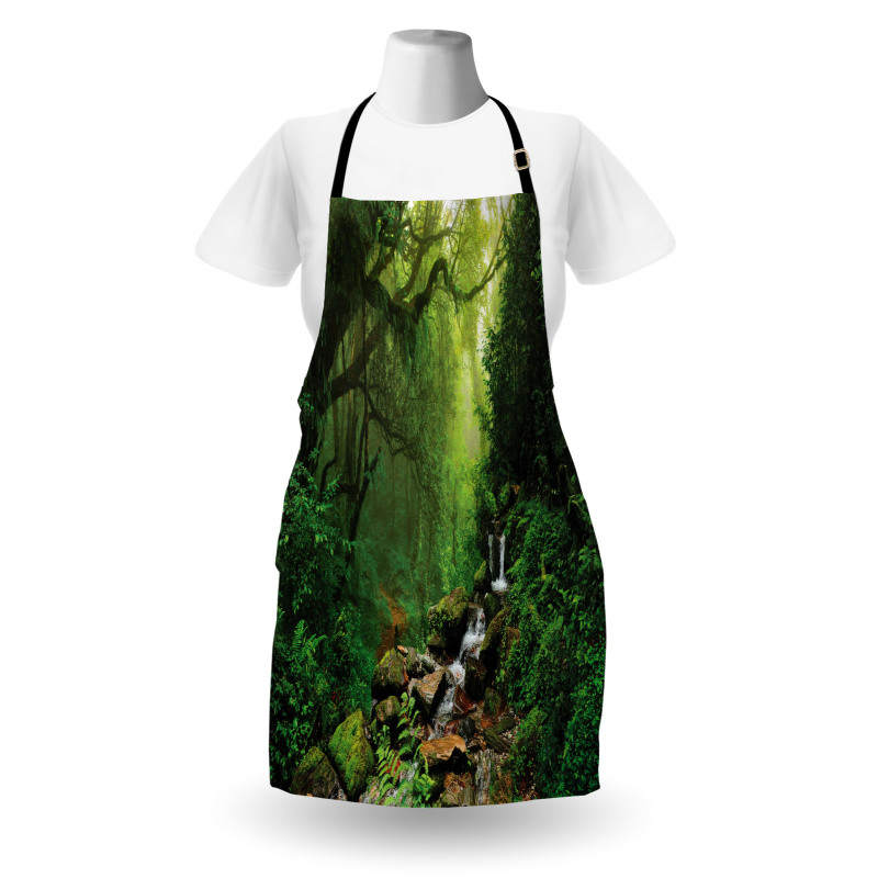 Spring in Nepal Footpath Apron