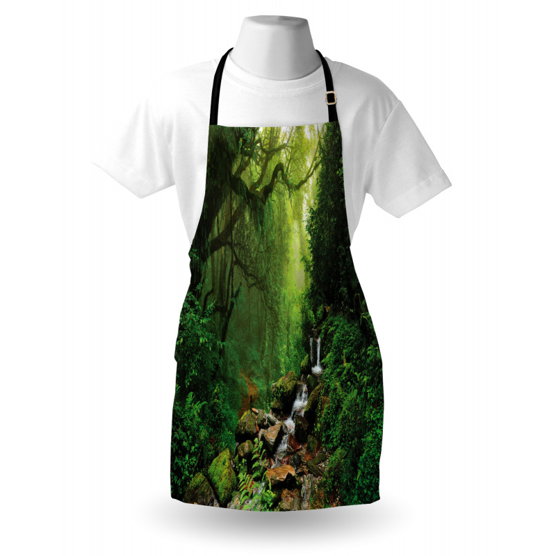 Spring in Nepal Footpath Apron