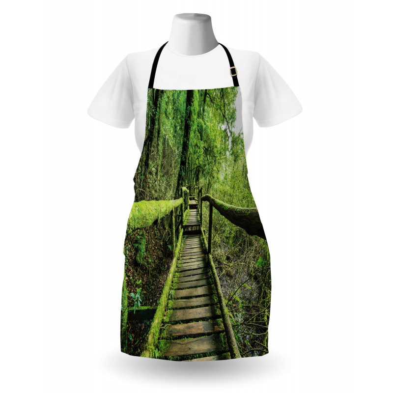 Rainforest in Inthanon Apron