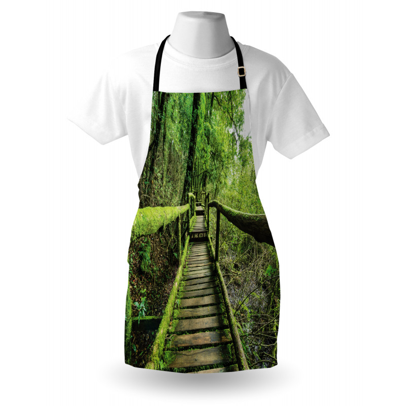 Rainforest in Inthanon Apron