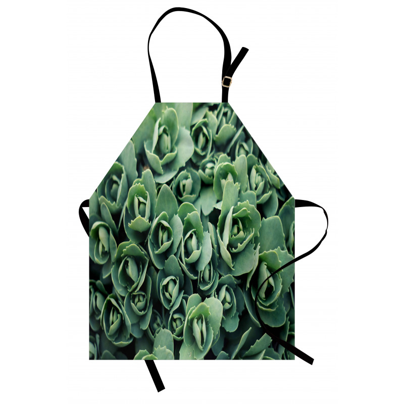 Macro Blooming Leaves Apron