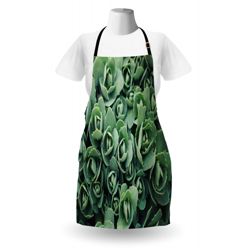 Macro Blooming Leaves Apron