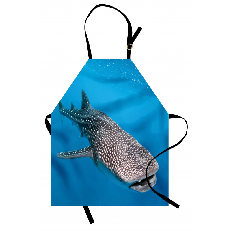 Swimming Whale Sea Apron