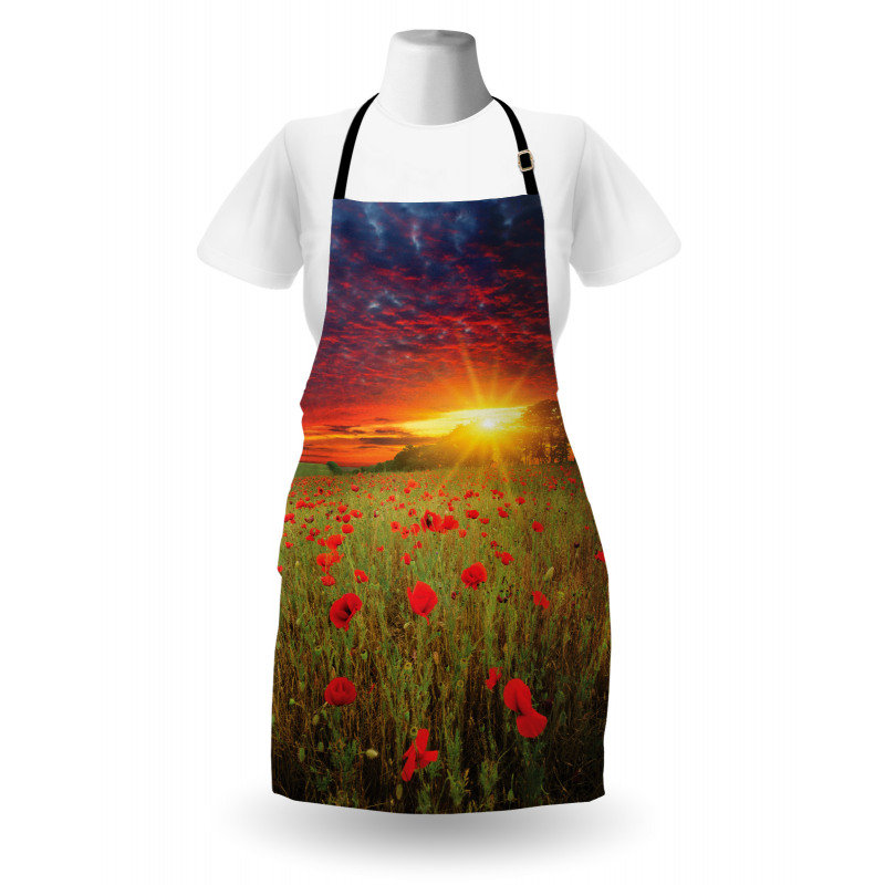 Meadow Poppies Sky Apron