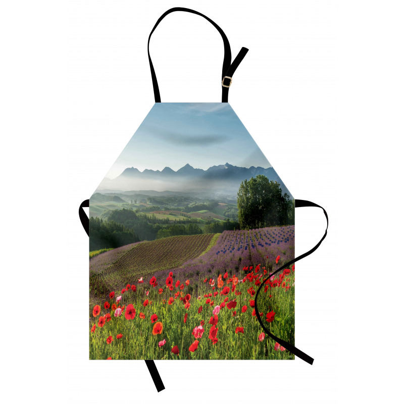 Lavender Farm Morning Apron