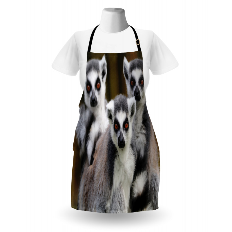 Ring Tailed Monkey Animals Apron