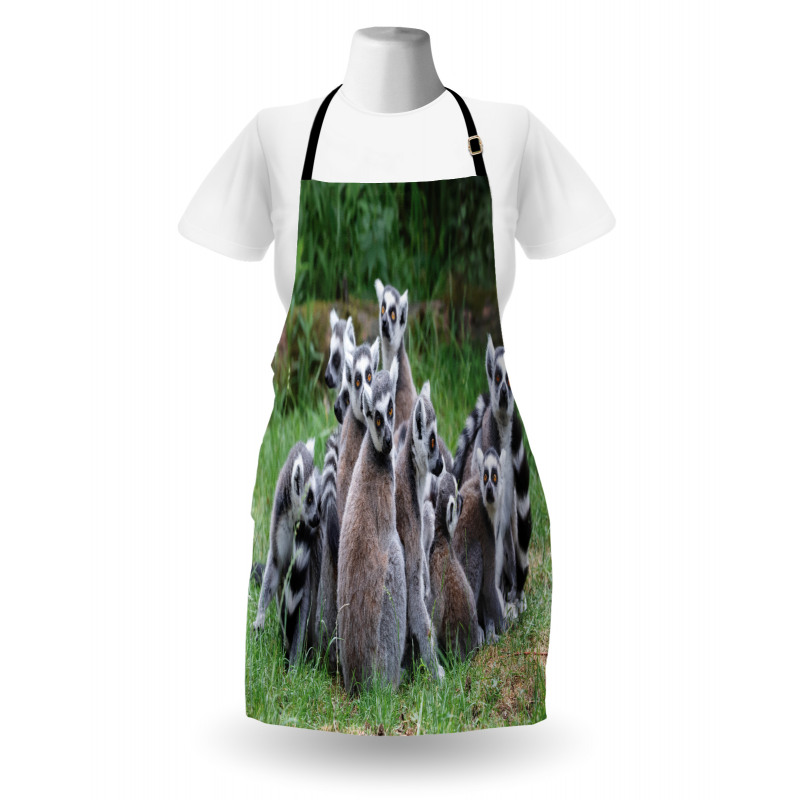 Ring Tailed Madagascar Monkey Apron