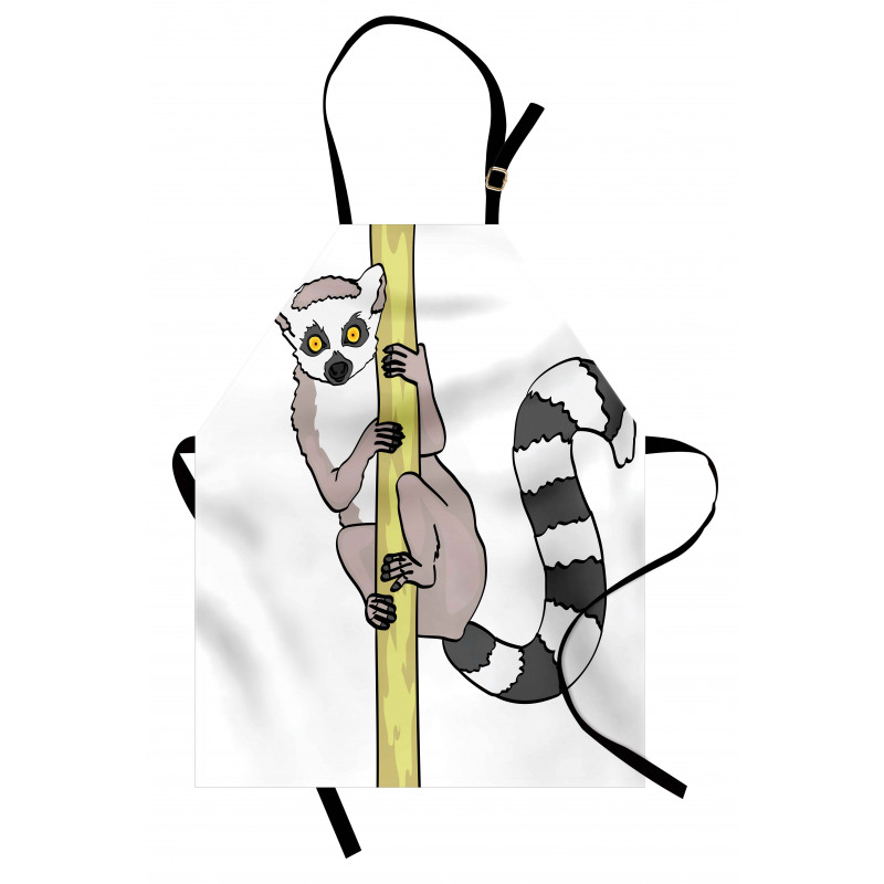 Tropical Ring Tailed Cartoon Apron