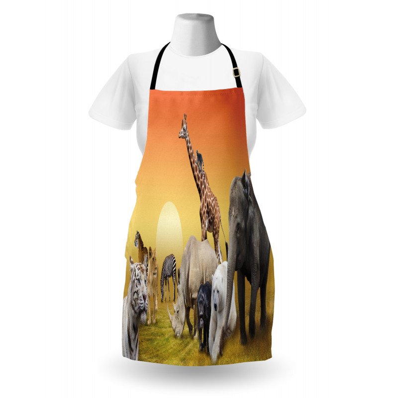 Wildlife Animals at Sunset Apron