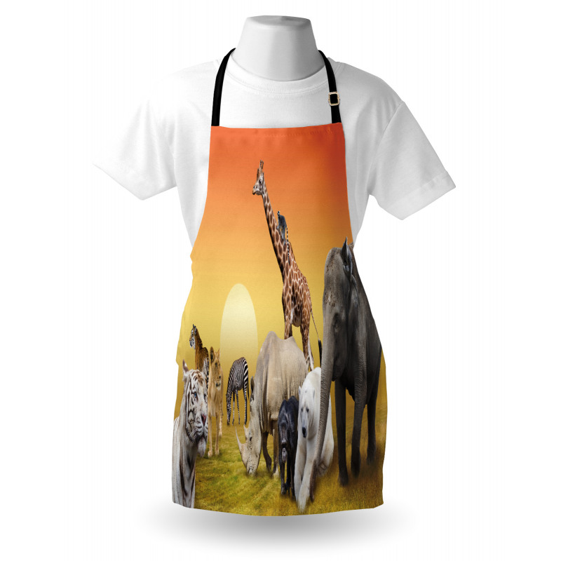 Wildlife Animals at Sunset Apron