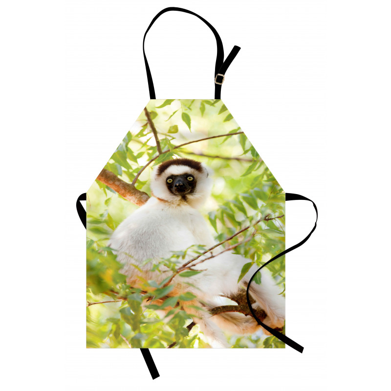 Wild Verreaux's Sifaka Photo Apron