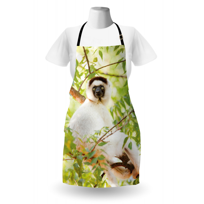 Wild Verreaux's Sifaka Photo Apron