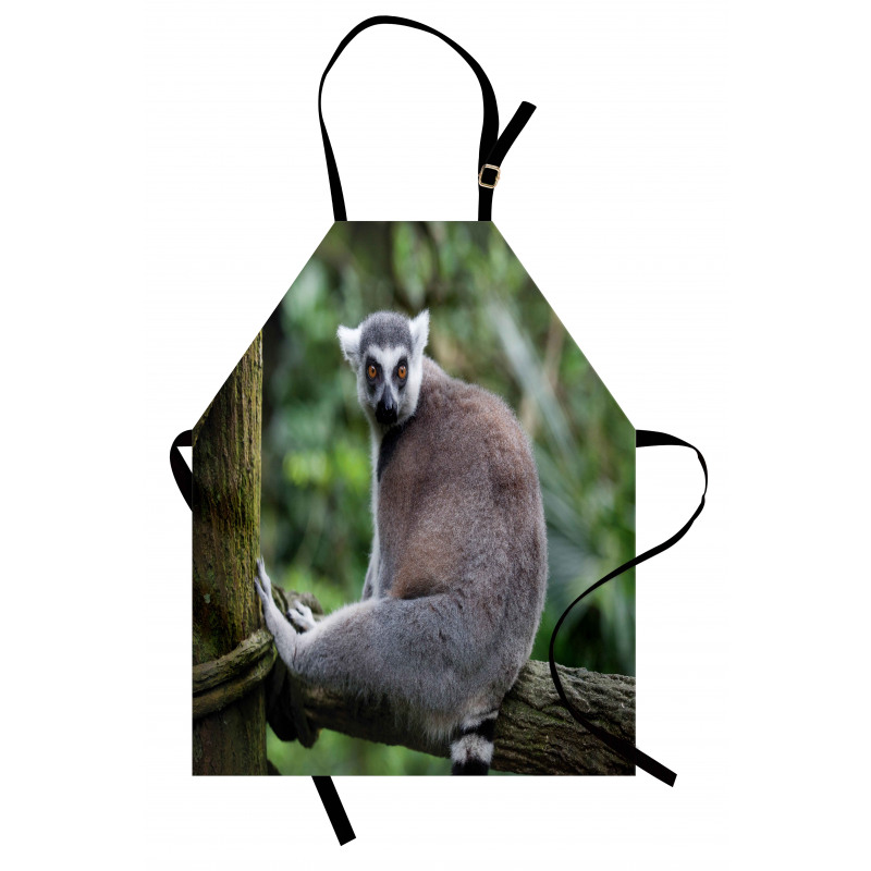 Photo of Madagascar Mammal Apron