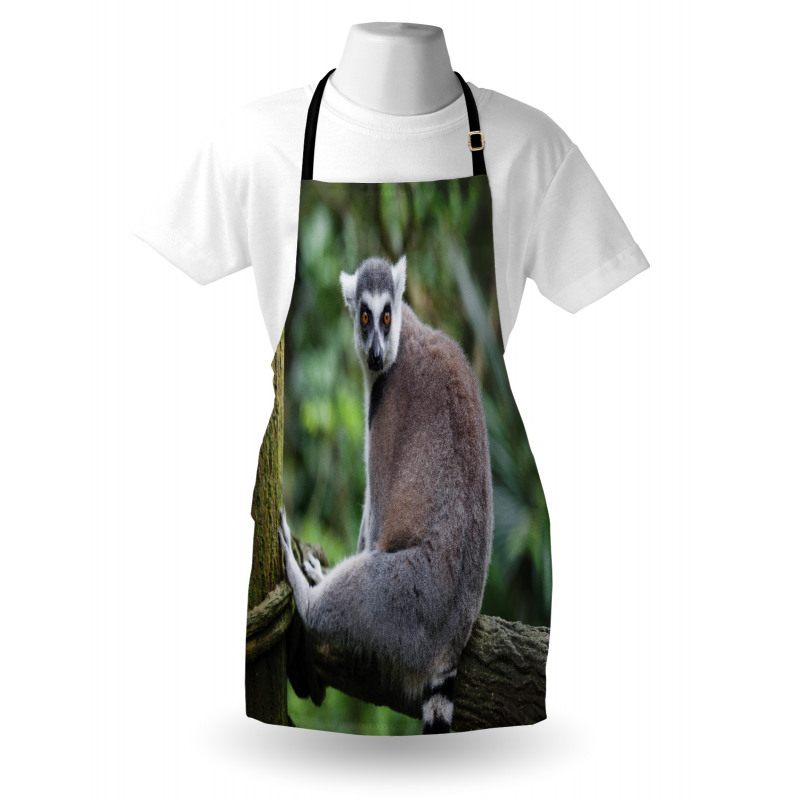 Photo of Madagascar Mammal Apron