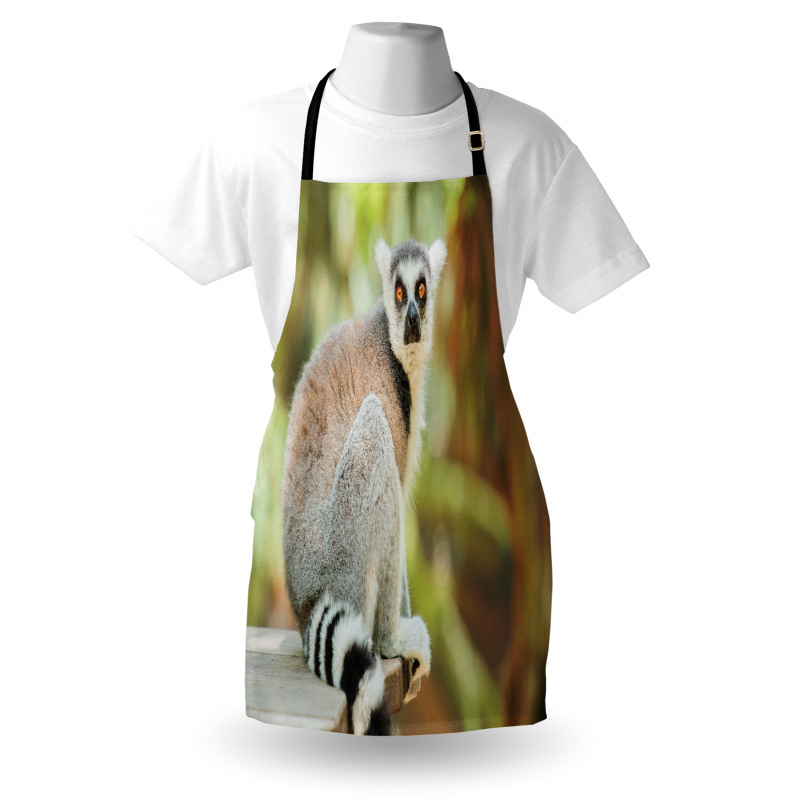 Aperture Photo Mammal Animal Apron