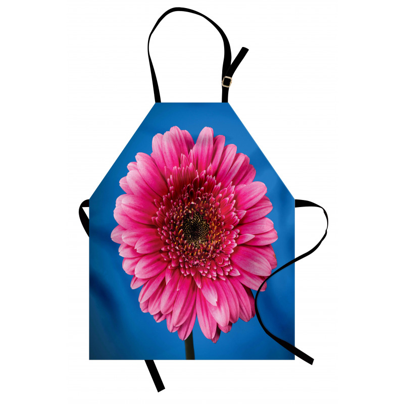 Gerbera Blossom Apron