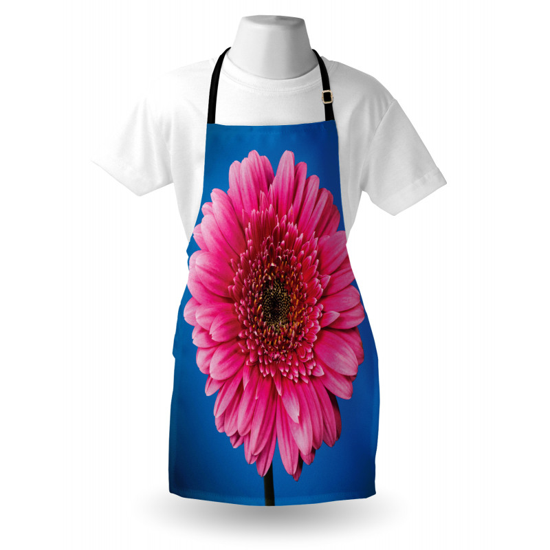 Gerbera Blossom Apron