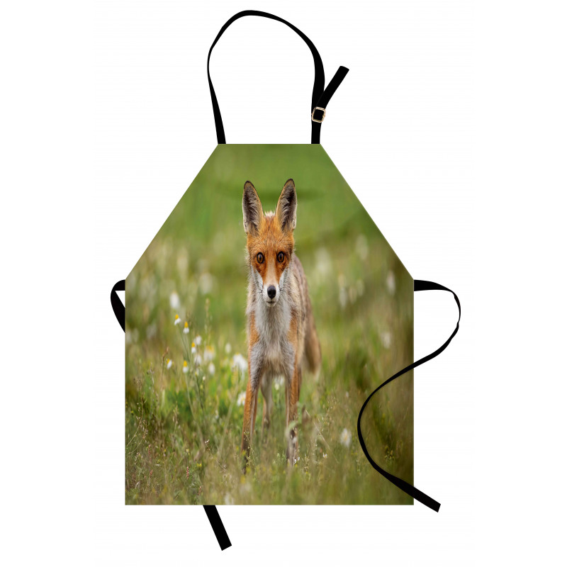 Young Curious Coyote Animal Apron