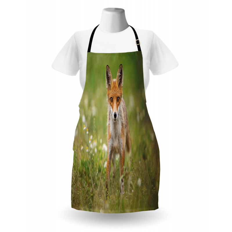 Young Curious Coyote Animal Apron