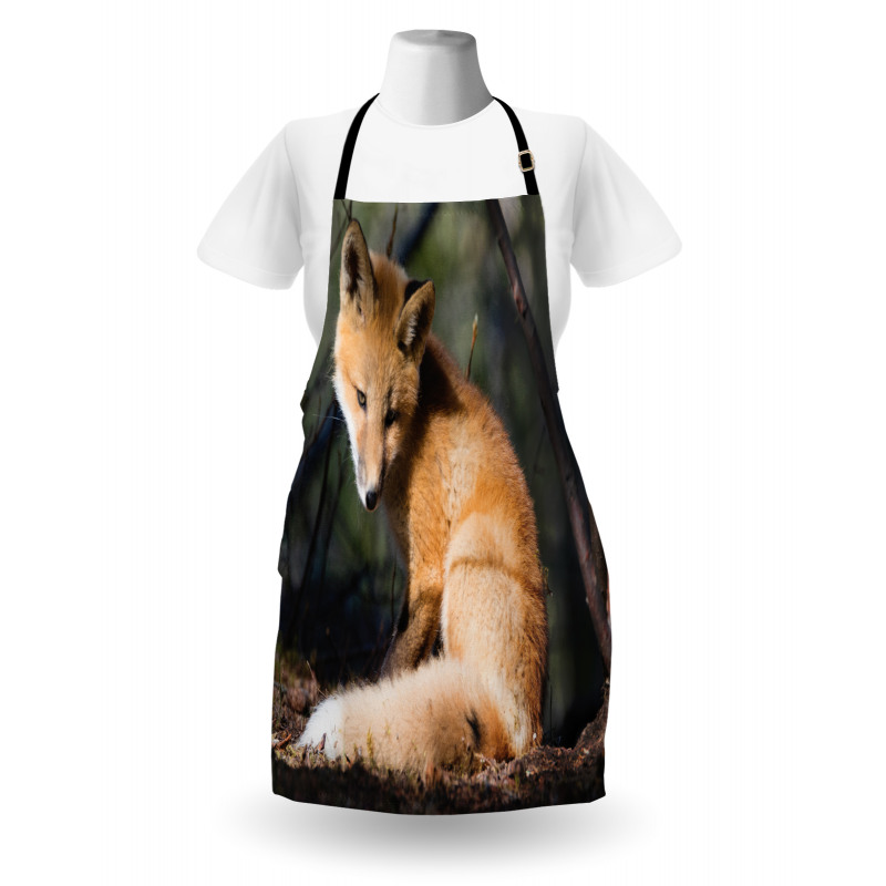 Young Coyote in Forest Sunrays Apron