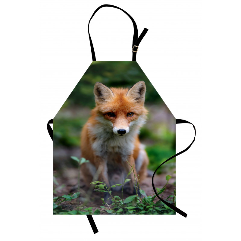 Young Coyote Photo Apron