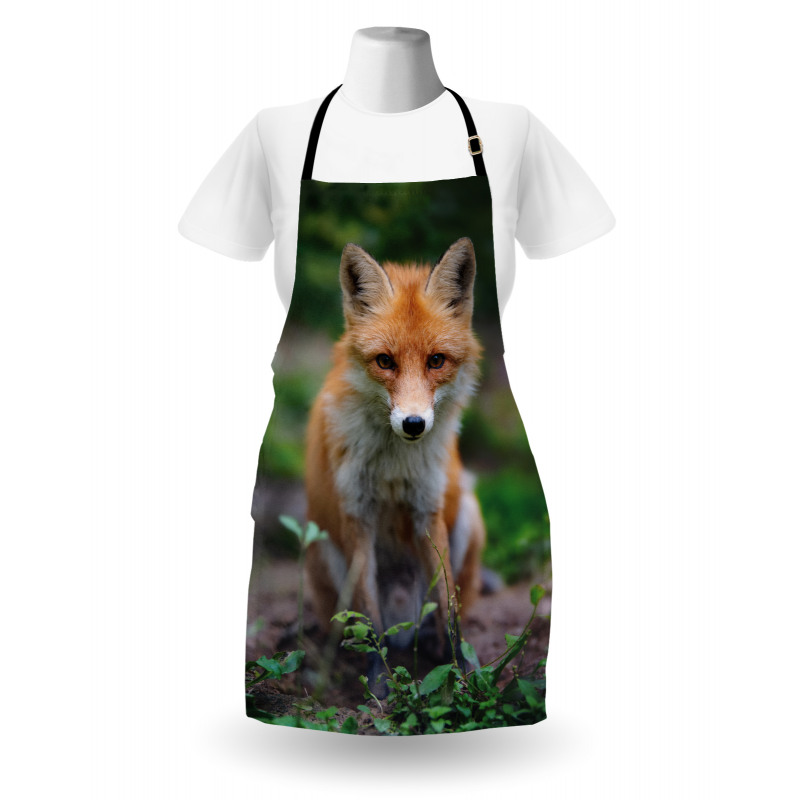 Young Coyote Photo Apron