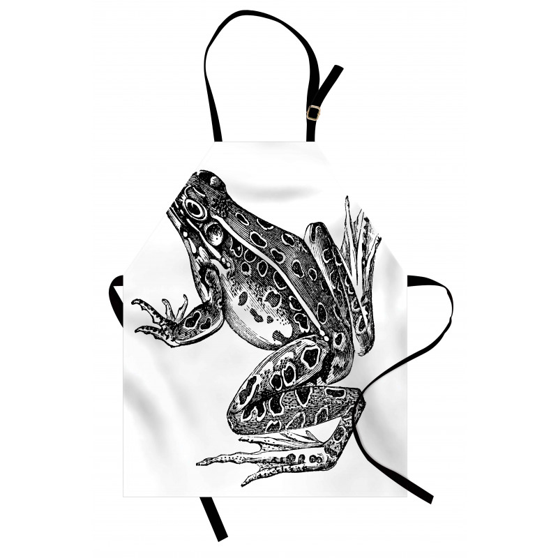 Dotted Exotic Amphibian Breed Apron