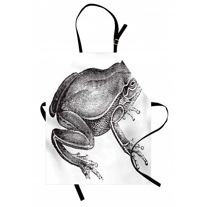 Engraved Amphibian Fauna Art Apron