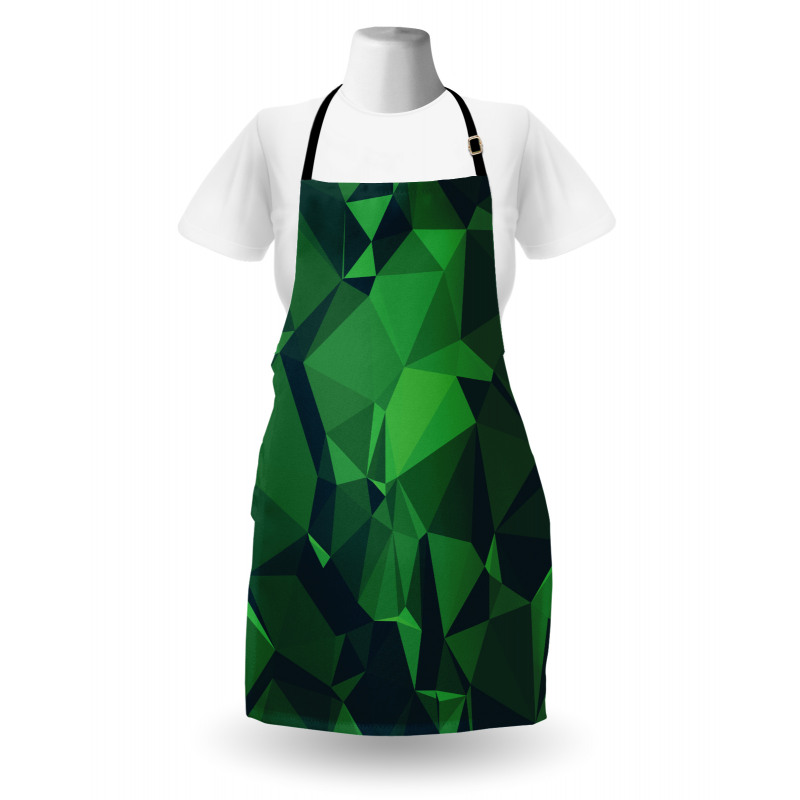 Abstract Poly Apron