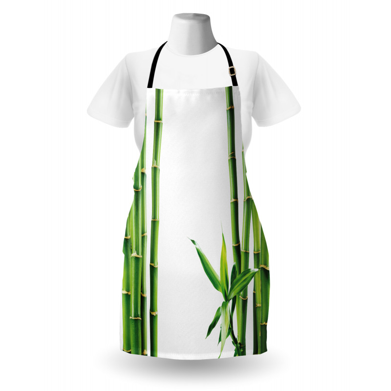 Branches of Bamboo Plant Apron