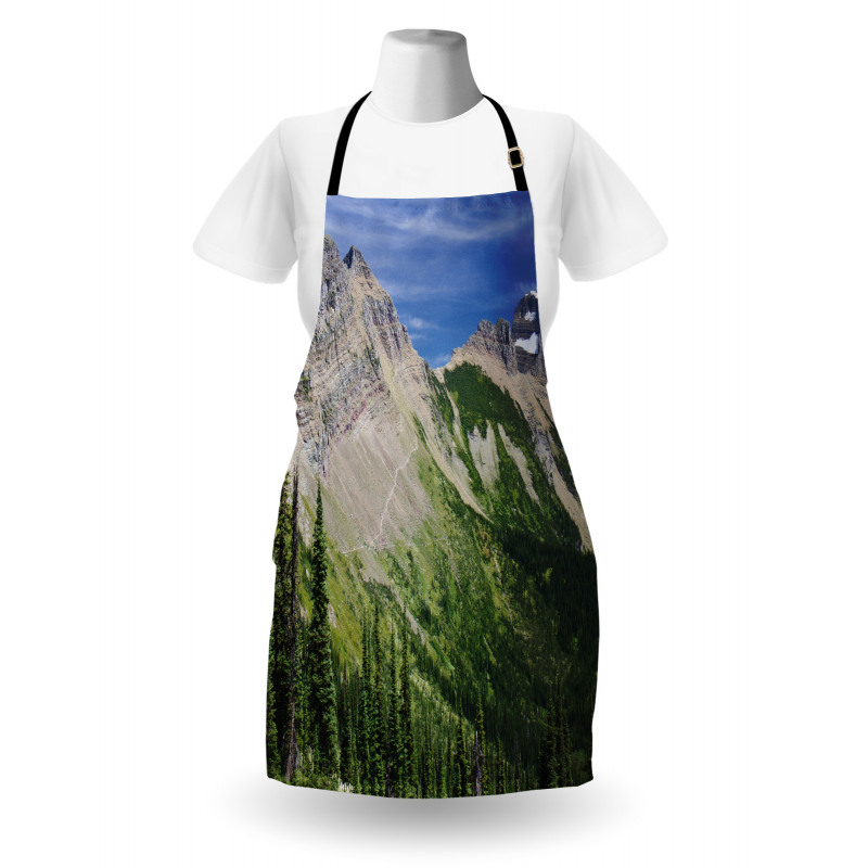 High Mountains and Forest Apron