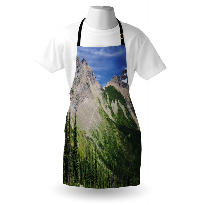 High Mountains and Forest Apron