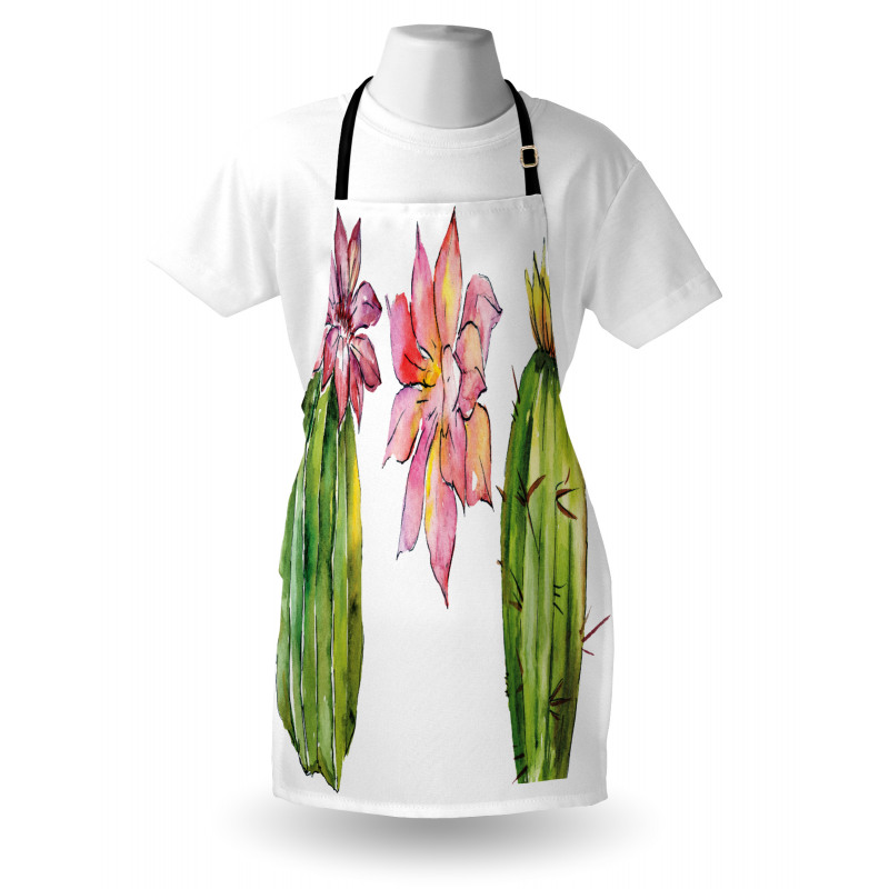 Succulents Apron