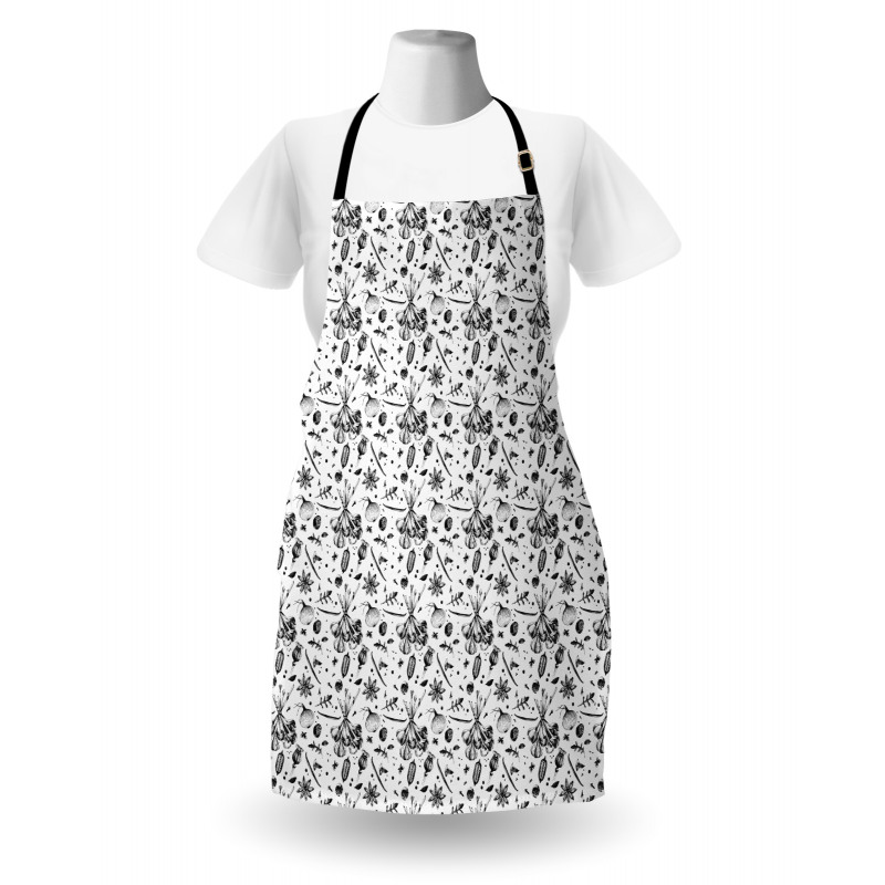 Cuisine Spices Forest Herbs Apron