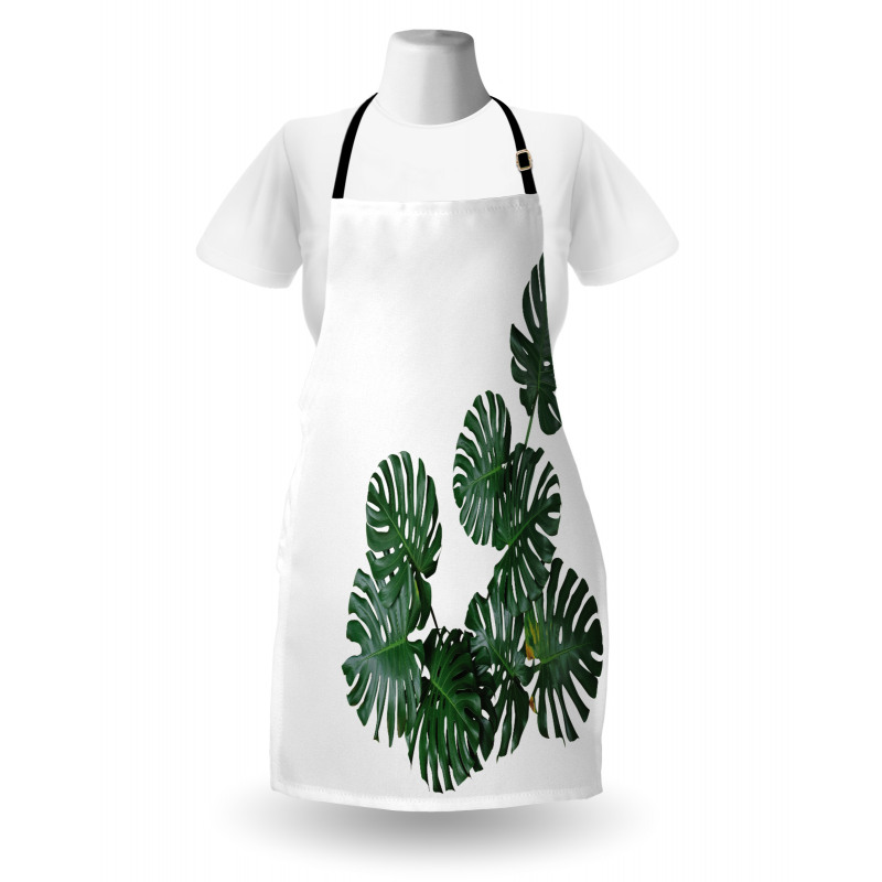 Monstera Deliciosa Apron