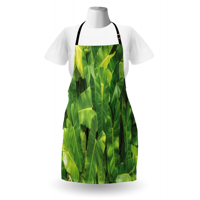 Photo of Tropic Botany Apron