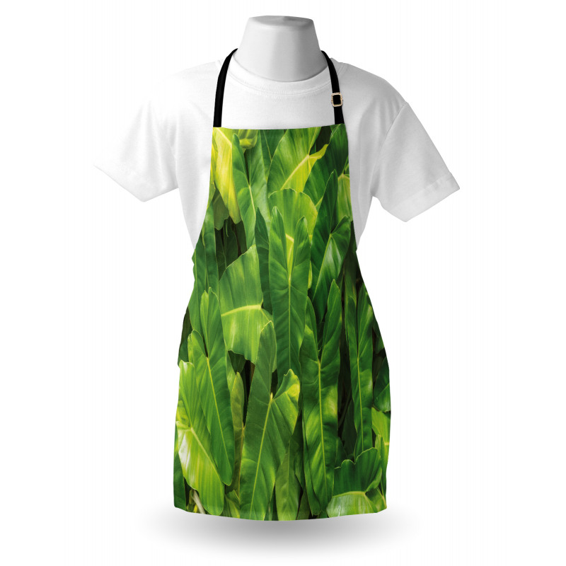 Photo of Tropic Botany Apron