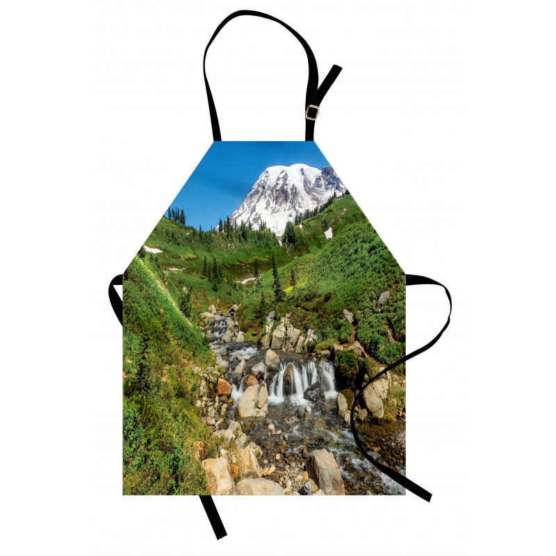 Edith Creek Mount Rainier Apron