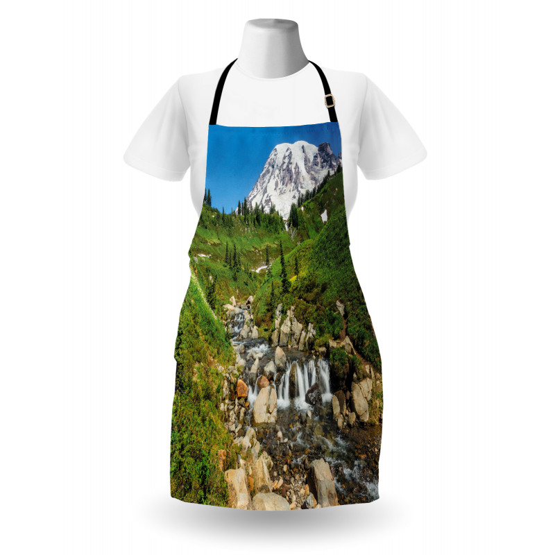 Edith Creek Mount Rainier Apron