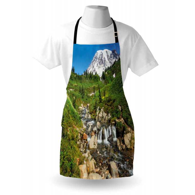 Edith Creek Mount Rainier Apron