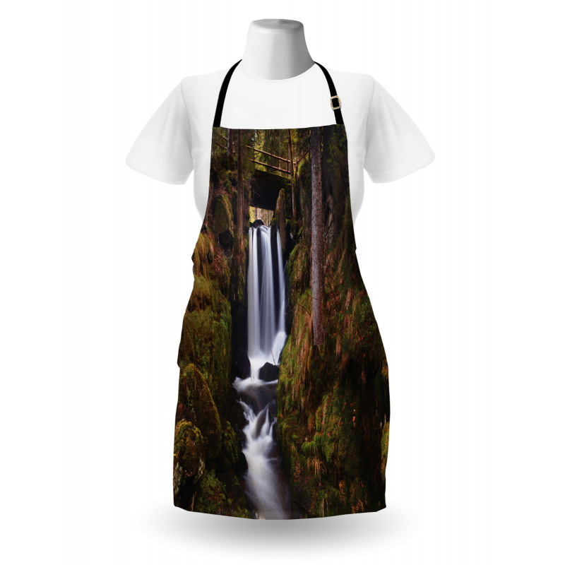 Wooden Bridge Forest Apron