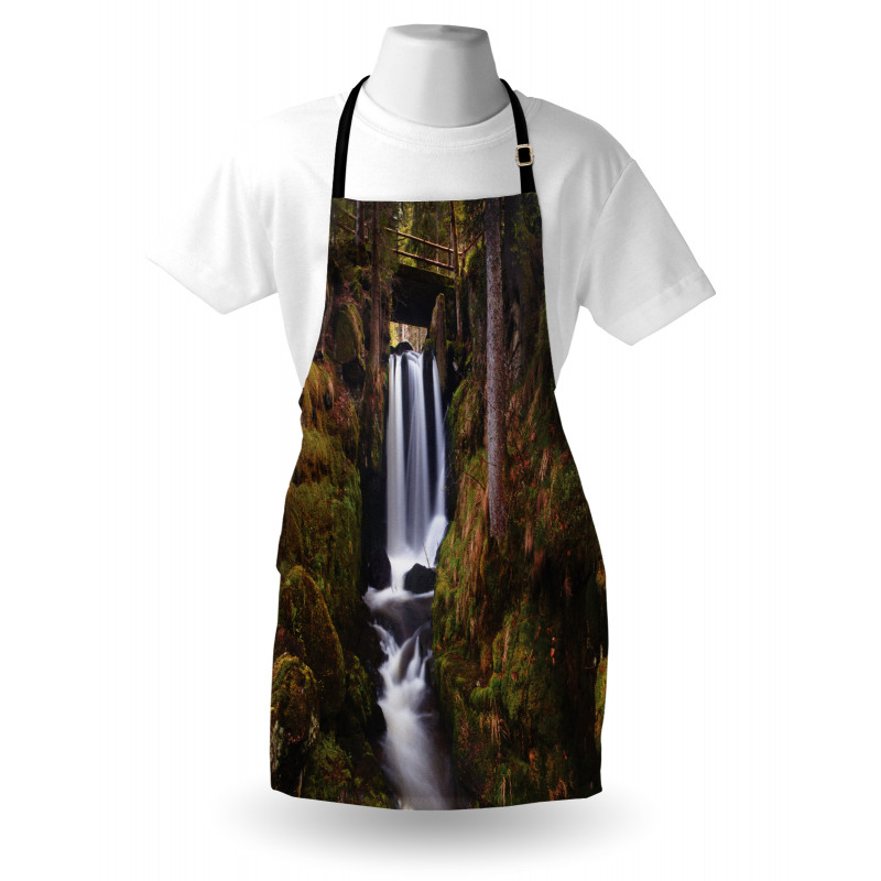 Wooden Bridge Forest Apron