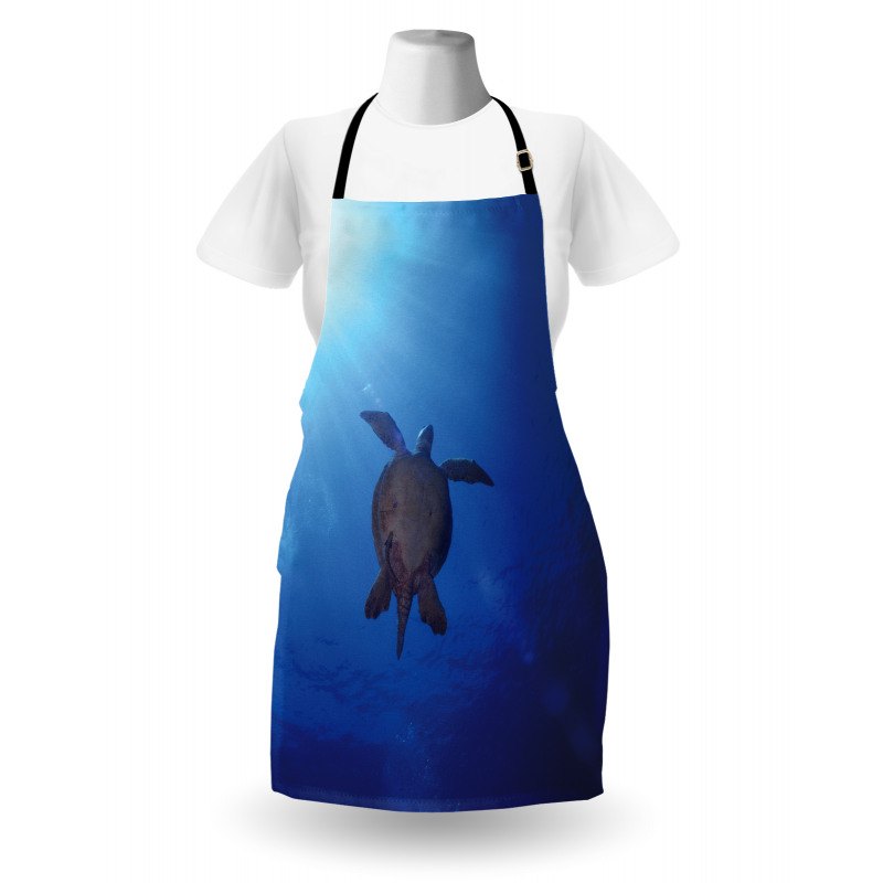 Sea Turtle in Deep Sea Apron